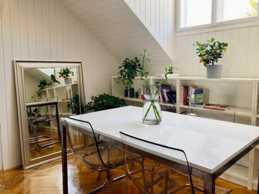 Big, Bright Apartment In The Center Of Zagreb Ngoại thất bức ảnh