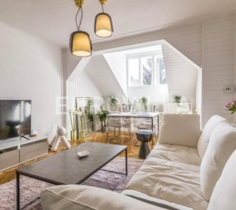 Big, Bright Apartment In The Center Of Zagreb Ngoại thất bức ảnh