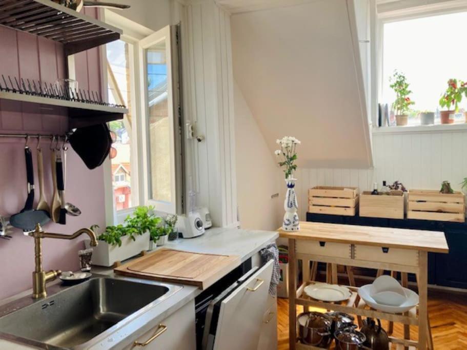Big, Bright Apartment In The Center Of Zagreb Ngoại thất bức ảnh