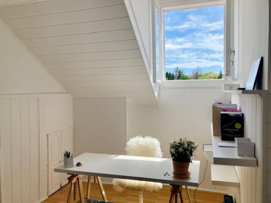 Big, Bright Apartment In The Center Of Zagreb Ngoại thất bức ảnh