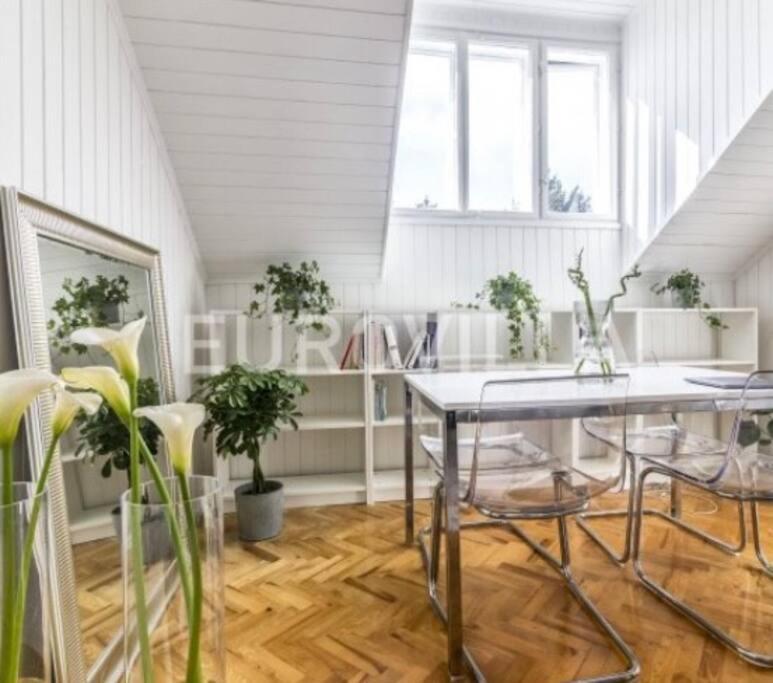 Big, Bright Apartment In The Center Of Zagreb Ngoại thất bức ảnh