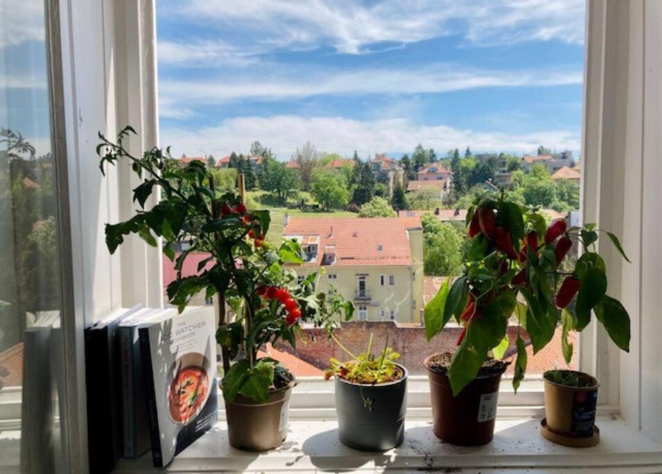 Big, Bright Apartment In The Center Of Zagreb Ngoại thất bức ảnh