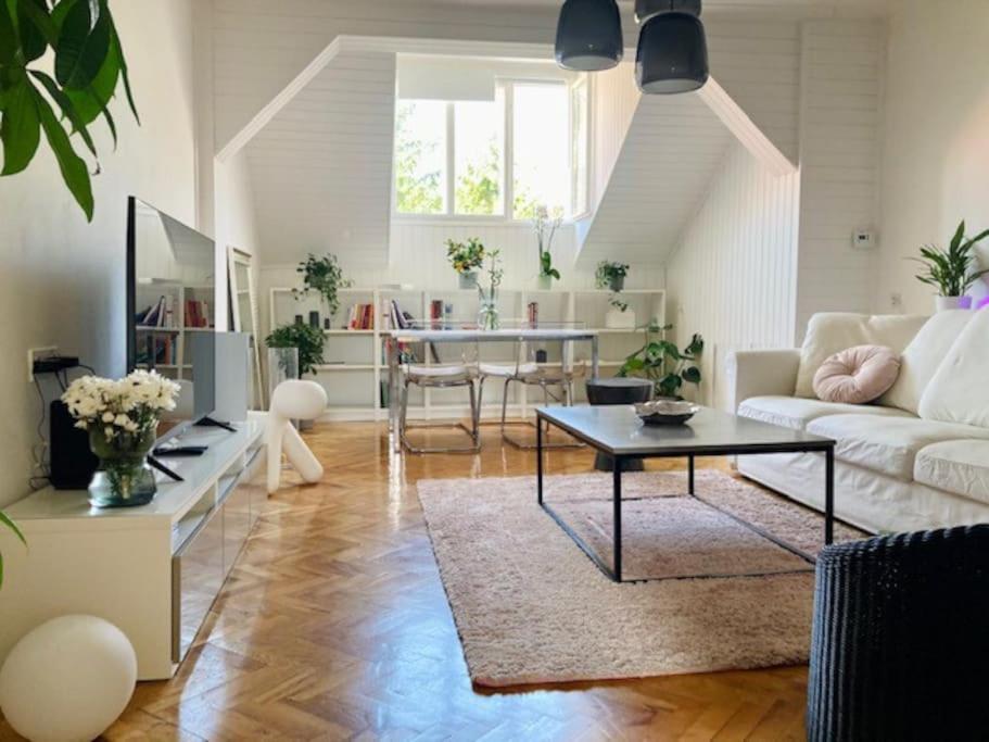 Big, Bright Apartment In The Center Of Zagreb Ngoại thất bức ảnh