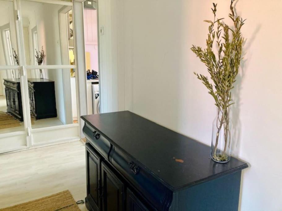 Big, Bright Apartment In The Center Of Zagreb Ngoại thất bức ảnh