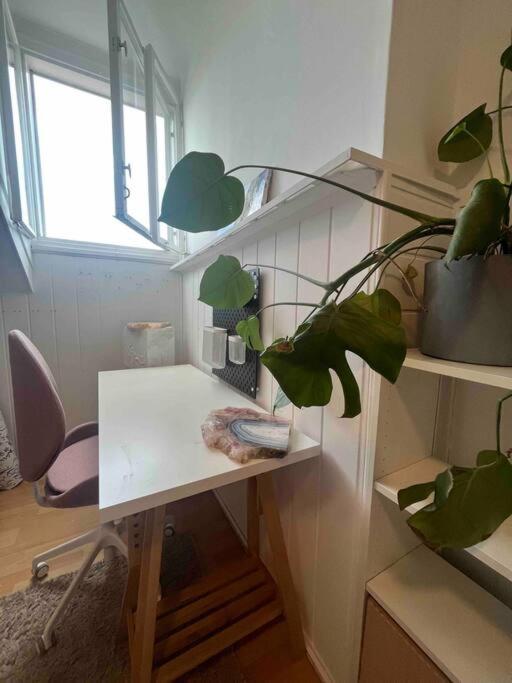 Big, Bright Apartment In The Center Of Zagreb Ngoại thất bức ảnh